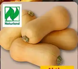 REWE Rewe Bio Butternut Kürbis Angebot