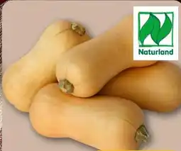 REWE Center Rewe Bio Butternut Kürbis Angebot