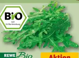 REWE Rewe Bio Bio-Rucola Angebot