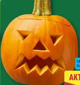 Aldi Nord Speise-Schnitzkürbis Halloween Angebot