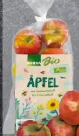 Edeka Frischemarkt Edeka Bio Tafeläpfel Elstar Angebot