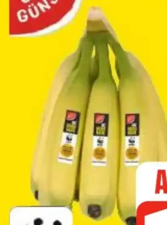 Edeka Frischemarkt Gut & Günstig Bananen Angebot