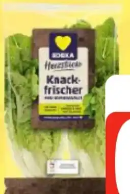 Edeka Frischemarkt Edeka Herzstücke Mini Romana Salat Angebot