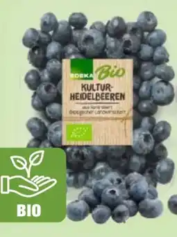 Edeka Edeka Bio Bio-Kulturheidelbeeren Angebot