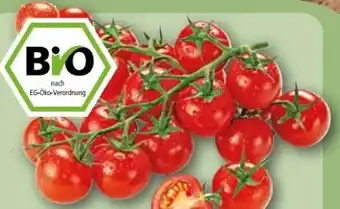 REWE Center Rewe Bio Mini Cherry Rispentomaten Angebot