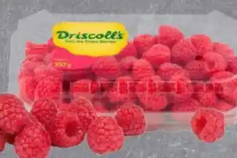 Edeka Driscoll's Himbeeren Angebot