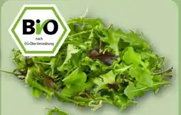 REWE Center Rewe Bio Crispy Salatmix Angebot