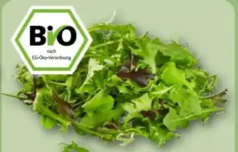 REWE Center Rewe Bio Crispy Salatmix Angebot