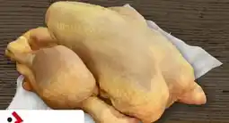 REWE Center Schönecke Maisstubenküken Angebot