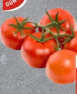 Edeka Gut & Günstig Rispentomaten Angebot