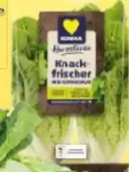Edeka Edeka Herzstücke Mini Romana Salat Angebot