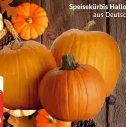 Edeka Speisekürbisse Halloween Angebot