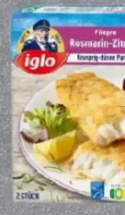 Edeka Iglo Filegro Angebot