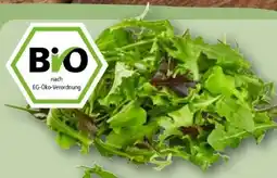 REWE Rewe Bio Crispy Salatmix Angebot