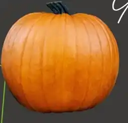 REWE Center Werner Genusskultur Zierkürbis Halloween Angebot