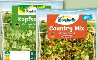 REWE Bonduelle Kopfsalat Gartenkräuter Mix Angebot