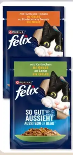 Budni Purina Felix Katzennahrung Angebot