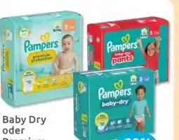 Budni Pampers Baby-Dry Windeln Angebot