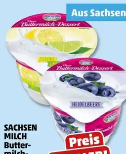 PENNY Sachsenmilch Buttermilch-Dessert Angebot