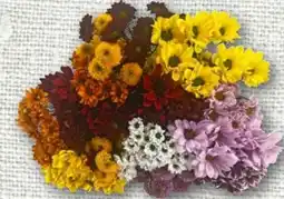 nahkauf Chrysanthemen Strauß Angebot