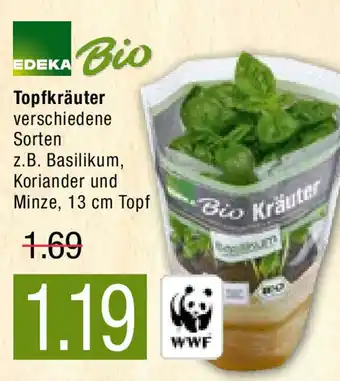 Marktkauf Edeka Bio Topfkräuter Angebot