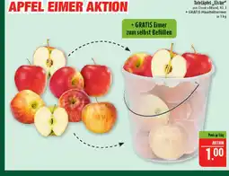 Marktkauf Tafeläpfel 'elstar' Angebot