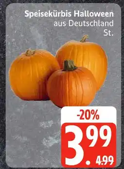Edeka Speisekürbis halloween Angebot
