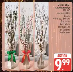 Marktkauf Dekor led-leuchtzweige Angebot