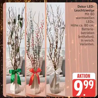 Marktkauf Dekor led-leuchtzweige Angebot