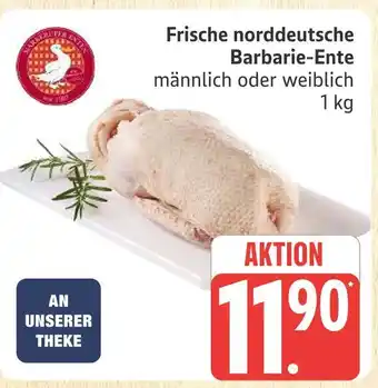 Marktkauf Frische norddeutsche barbarie-ente Angebot