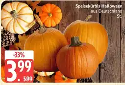Marktkauf Speisekürbis halloween Angebot