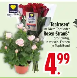 Edeka Edeka herzstücke topfrosen Angebot