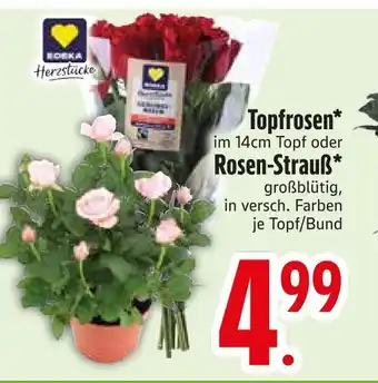 Edeka Edeka herzstücke topfrosen Angebot