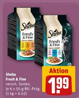 REWE Sheba fresh & fine Angebot