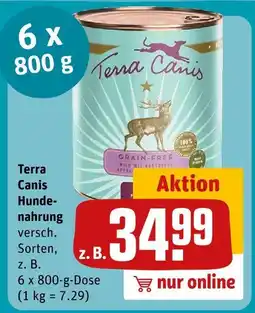 REWE Terra canis hundenahrung Angebot