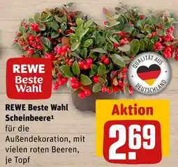 REWE Rewe beste wahl scheinbeere Angebot