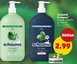 PENNY Schauma shampoo Angebot