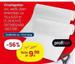 ROLLER Profitan vinyltapeten Angebot