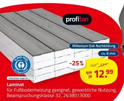 ROLLER Profitan laminat Angebot