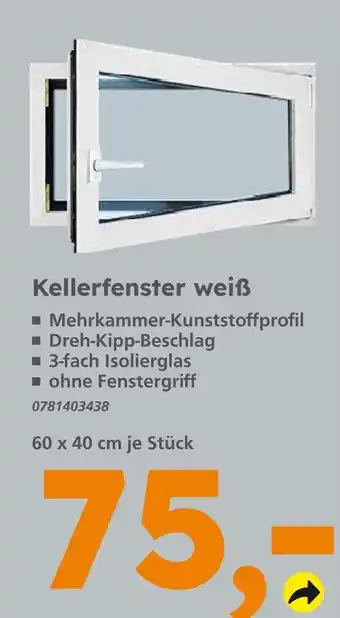 Globus Baumarkt Kellerfenster weiß Angebot