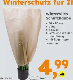 Globus Baumarkt Wintervlies schutzhaube Angebot