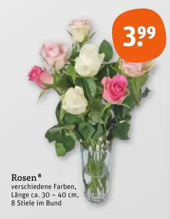 tegut Rosen Angebot