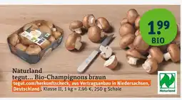 tegut Tegut... bio-champignons braun Angebot