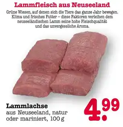 E-Center Lammlachse Angebot
