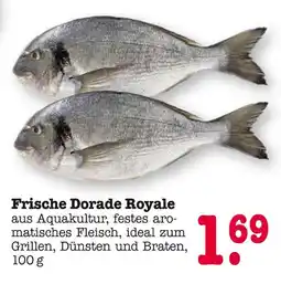 E-Center Frische dorade royale Angebot