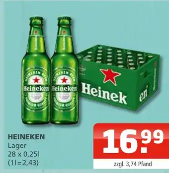 Getränke Oase Heineken lager Angebot