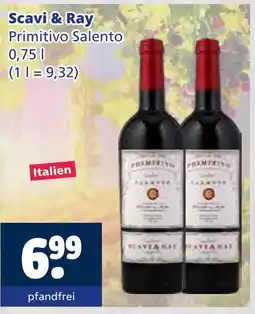 Getränkewelt Scavi & ray primitivo salento Angebot