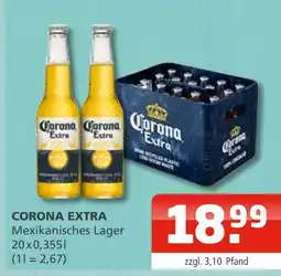 Getränke Oase Corona extra mexikanisches lager Angebot