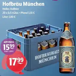 Getränke Hoffmann Hofbräu München Helles Vollbier Angebot