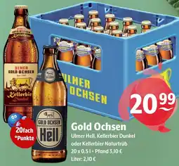 Getränke Hoffmann Gold Ochsen Ulmer Hell Angebot